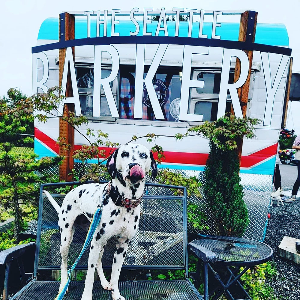 barkery-treat-trailer1