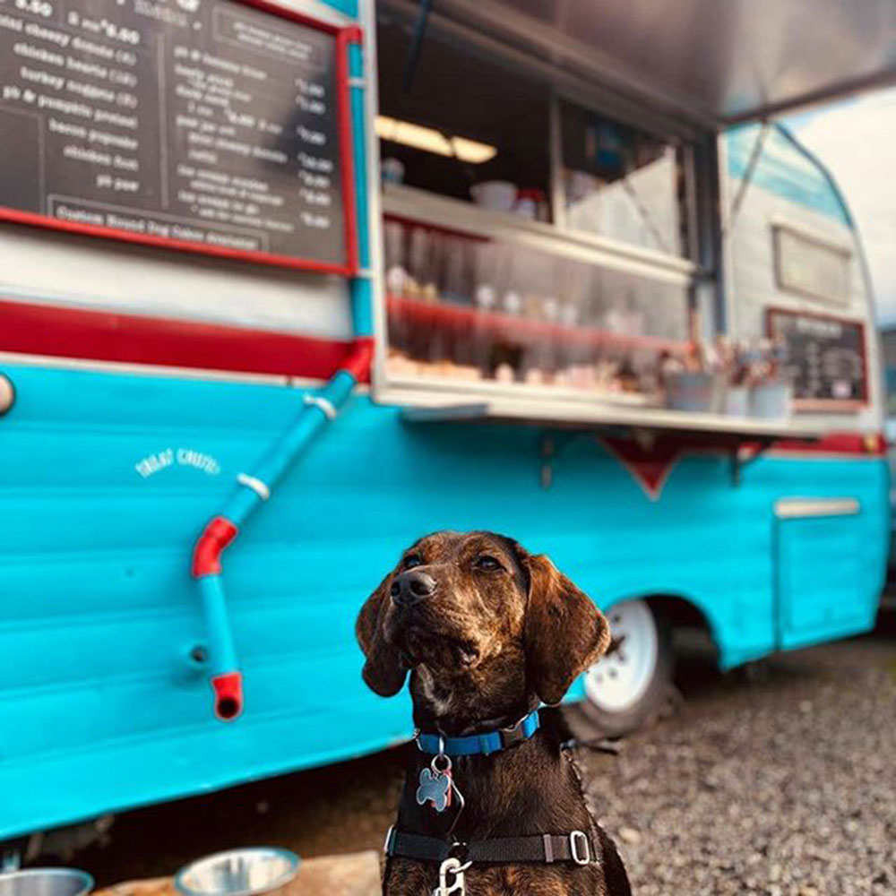 barkery-treat-trailer3
