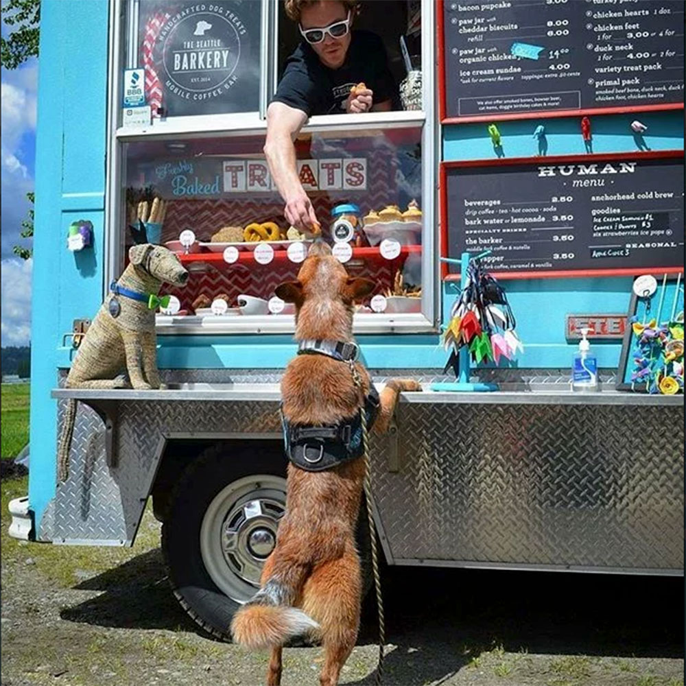 barkery-treat-truck2