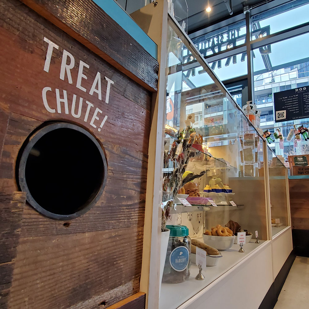 Fun Things To Do with Your Dog in Seattle